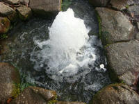 DSC03358.JPG