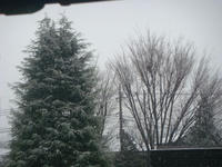 DSC03414.JPG