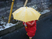 DSC03422.JPG