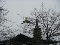 DSC03425.JPG