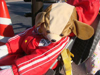 DSC03466.JPG