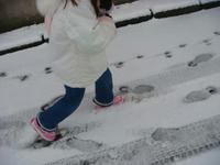 DSC03597.JPG