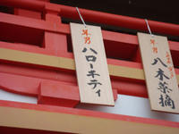 DSC03600.JPG