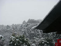 DSC03602.JPG