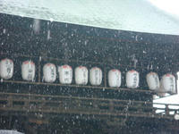 DSC03604.JPG