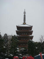 DSC03626.JPG