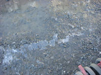 DSC03663.JPG