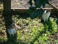 DSC03666.JPG