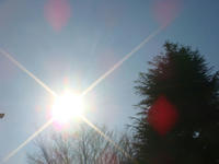 DSC03672.JPG