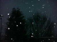 DSC03721.JPG