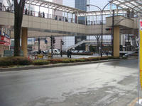 DSC03728.JPG
