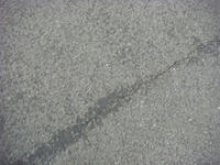 DSC03754.JPG