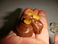 DSC03773.JPG