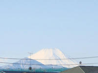 DSC03783.JPG