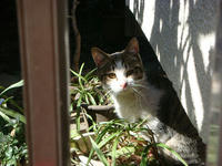 DSC03786.JPG