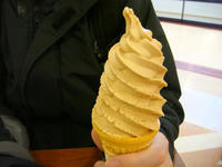 DSC03872.JPG