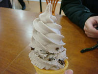 DSC03873.JPG