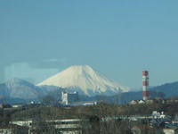 DSC03883.JPG