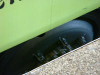 DSC03889.JPG
