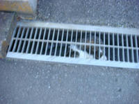 DSC04111.JPG