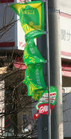DSC04137.JPG