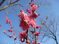 DSC04220.JPG