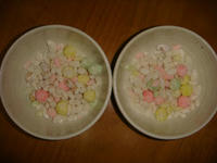 DSC04302.JPG
