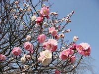 DSC04314.JPG