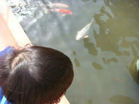 DSC04321.JPG