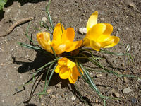 DSC04341.JPG