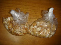 DSC04363.JPG