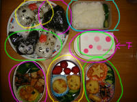 DSC04405.JPG