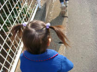 DSC04427.JPG