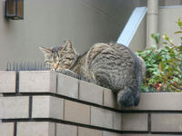 DSC04440.JPG