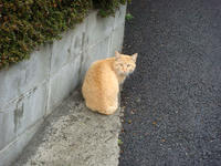 DSC04441.JPG