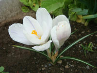 DSC04481.JPG
