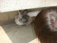 DSC04487.JPG