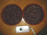 DSC04500.JPG
