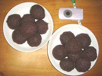 DSC04530.JPG