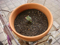 DSC04558.JPG