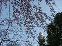 DSC04607.JPG