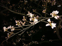 DSC04724.JPG