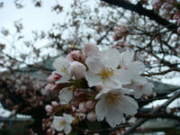 DSC04780.JPG