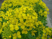 DSC04804.JPG