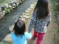 DSC04805.JPG