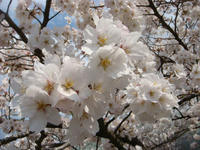 DSC04831.JPG