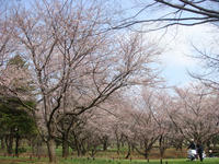 DSC04849.JPG