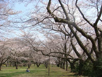 DSC04851.JPG
