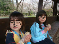 DSC04855.JPG