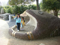 DSC04857.JPG